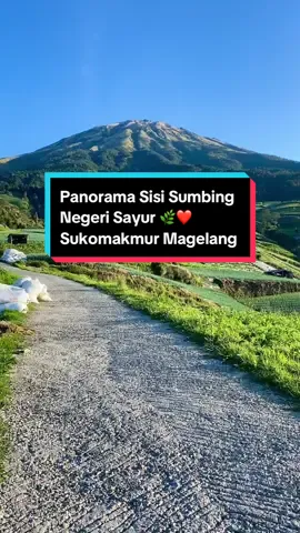 Iseh sok kelingan wae …🌿❤️#sisisumbing #fyp #fypシ゚viral #sumbing #gunungsumbing #panoramasisisumbing #wisatamagelang #magelangexplore #pemandanganalam #sukomakmur #lagujawa #lagujawabacksound❤️🌿 #pemandangan 