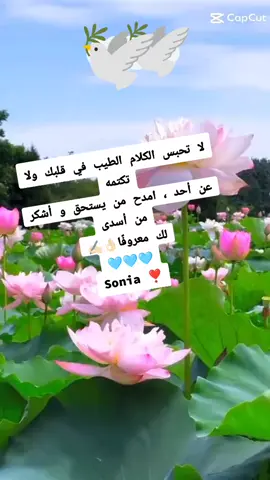 #صاحب النية الطيبة يغلب صاحب الحيلة #👌🏻👌🏻 #اوقاتكم_سعادة_غوالي #ازول #🏵 #احلى_تحية #كلام_من_القلب #خواطر_للعقول_الراقية #اقتباسات_عبارات_خواطر #الصين_ماله_حل😂 #مجرد_ذووقツ🖤🎼🥀اكسبلورexplore #صونيا🌺🌹🌹🌹 #sonia 