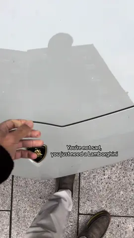 You’re not sad, you just need a Lamborghini #london #lamborghini #supercars #fy #viral #الشعب_الصيني_ماله_حل😂😂 
