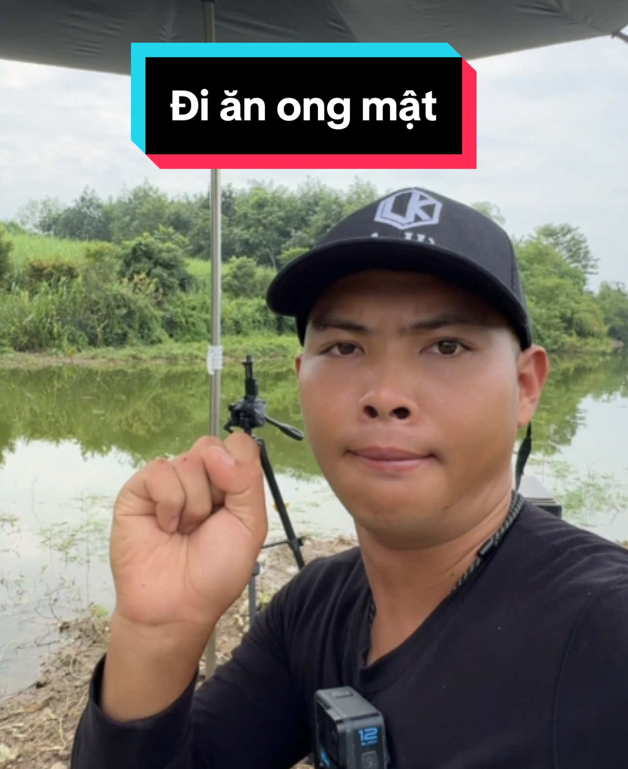 Khi Hoà dẫn A Hào đi bắt ong bổ sung protein để đi câu chép #lkhoa #dcgr 