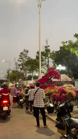 Luỵ không khí đi chợ Tết quá #tet #30tet #tet2025🧨🧧🌸còn126ngàynữalàđếntết #tet2025 