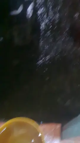 trời mưa ngập tới phòng trọ , bữa nay nó ngập ra tắm mưa ban đêm lun mới chịu 🤣#quận12 