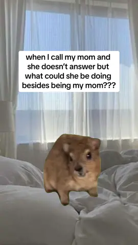 #CapCut 