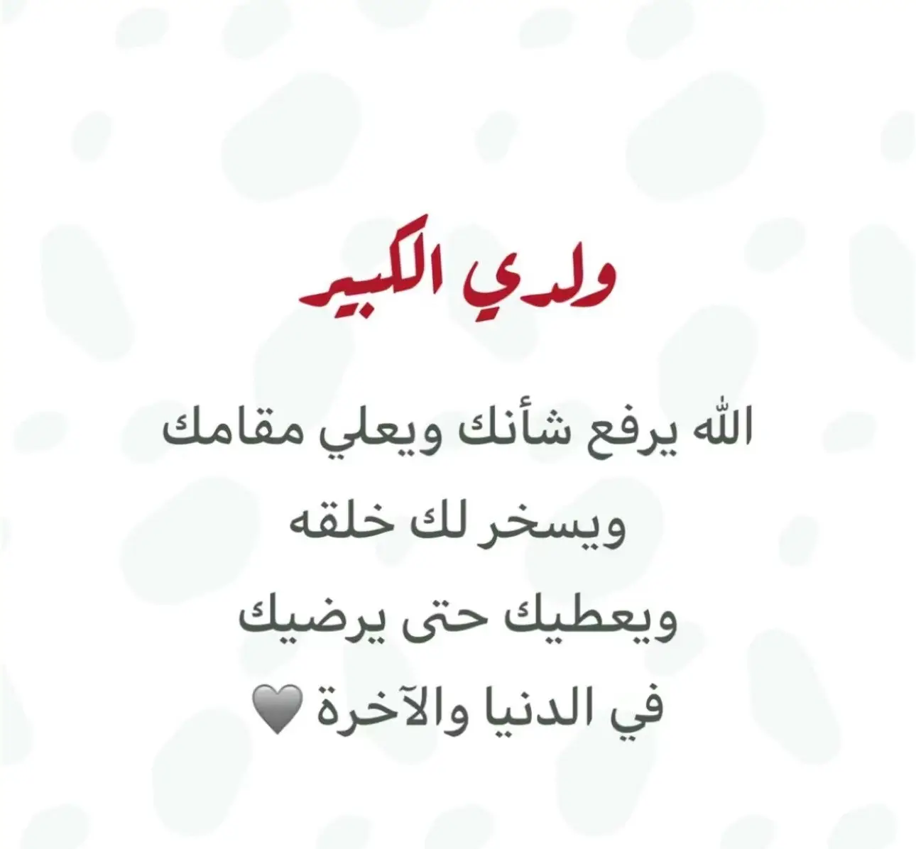 #ولدي #سعد #اكسبلور #fyp #الملك_سلمان_بن_عبدالعزيز_الله_يحفظه @سعـد الرفيدي🌿 
