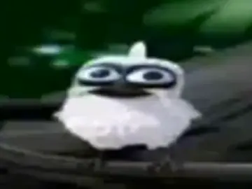 #passarobrancoquegrita #passaro #branco #que #grita #fyp #funnyvideo #Oi 