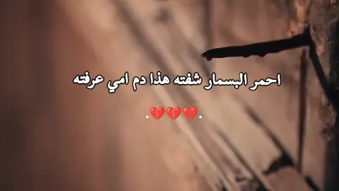 💔💔 #استشهاد_الزهراء #الرواية_الاولى #الليالي_الفاطميه #💔💔 
