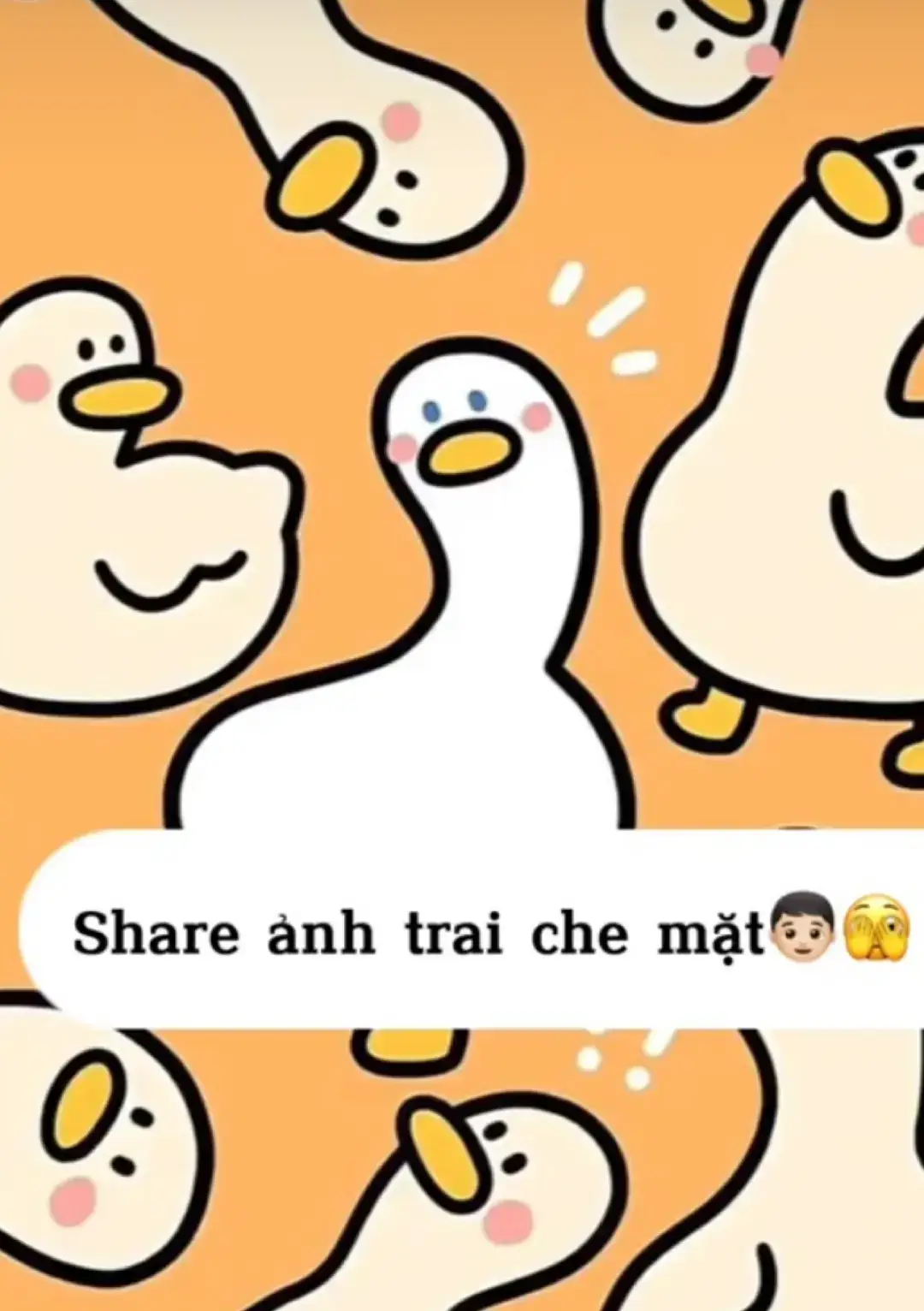 ảnh boyy choa ai cầnn🫶