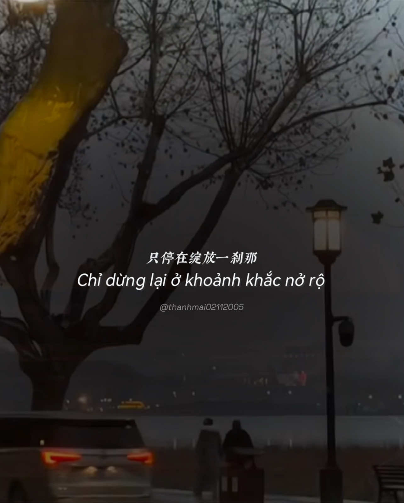 Vì sao mọi thứ lại thành ra như vậy ,            ___________________                         #nhactrungquoc #vietsub #lyrics #nhactrung #把回忆拼好给你 #thanhmai02112005 