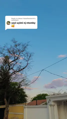 Replying to @Inkosi YabaDletshe14 #SAMA28 #tiktokviral #maskandi #maskandimusic #fylpシviralシ #@Mthandeni Manqele 