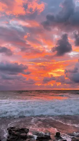 “A glimpse of heaven.” ❤️‍🔥🌅🌊 #sunsetlover #beachtherapy #goldenhour #oceansunset #paradise #florida #aesthetic #cloudlover 