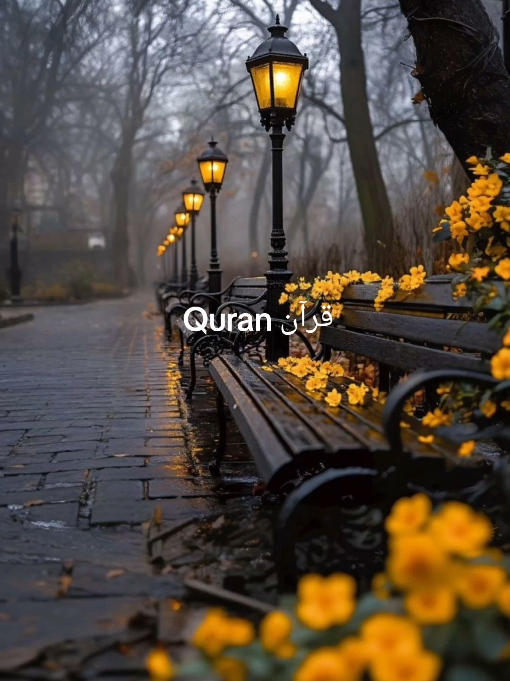 سورة البقرة { في قلوبهم مرض فزادهم اللَّهُ مرضا } القارئ مشاري العفاسي =========================================== قرآن,قرآن بصوت هاديء,قرآن كريم قبل النوم,قرآن للمساعدة على النوم,قرآن كريم قراءة,القرآن الكريم,قرآن كريم للنوم,قرآن كريم,القرآن الكريم كامل,10 ساعات قرآن,#قران,#قران كريم,قران,البقرة,البقره,صور قران,قران mp3,قران كريم,سوره بقره,قران كامل,صوره قران,صورة قران,قران مكتوب,تحميل قران,قران الفجر,سورة البقره,سورة البقرة,سوره البقره,قران الكريم,البقره مجود,سوره البقرة,صورةً البقرة,البقرة للسحر,محراب القراء,القران =========================================== quran,quran recitation,surah,surah rahman,kuran,sleep quran,koran,holy quran recitation,surah yasin,surah al baqarah,quran sleep,surah mulk,quran for kids,quran tilawat,the holy quran,quraan karim,al quran surah,ten hours quran,surah baqarah,quran ki tilawat,quran for sleeping,surat mulk,the quran,al quran surah full,al quran surah kahf,surat yasin,quran 2020,full quran,lofi quran,quran surah al baqara,sleeping quran surah,coran =========================================== ‏#Quran_Karim #Quran #Yasser_Aldosari #Humble_recitations #quran #quarantine #quran_alkarim #quranrecitation #islam #islamic_video #islamic_video #islamicquotes #islamic_media #musica #musically #motivation #inspiredawesomelif =========================================== #قرآن_كريم #قرآن #ياسر_الدوسري #تلاوات_خاشعة #قرآن #حجر_صحي #قرآن_كريم #تلاوة_قرآن #إسلام #فيديو_إسلامي #فيديو_إسلامي #اقتباسات_إسلامية #إعلام_إسلامي #موسيقى #موسيقيا #تحفيز #إلهام_حياة_رائعة =========================================== #القارئ_مشاري_العفاسي #القارئ_عزالدين_العوامي #القارئ_عبدالرحمن #القارئ_سعود_أل_جمعة #القارئ_سعد_أزويت  #القارئ_أنس_العمادى #القارئ_فهد_بندر_البورادي #القارئ_ياسر_الدوسري #القارئ_محمد_الغزالي #القارئ_سلمان_العتيبي  #القارئ_أحمد_النفيس  #القارئ_محمد_اللحيدان  #القارئ_أحمد_حمادي  #سورة  ===========================================