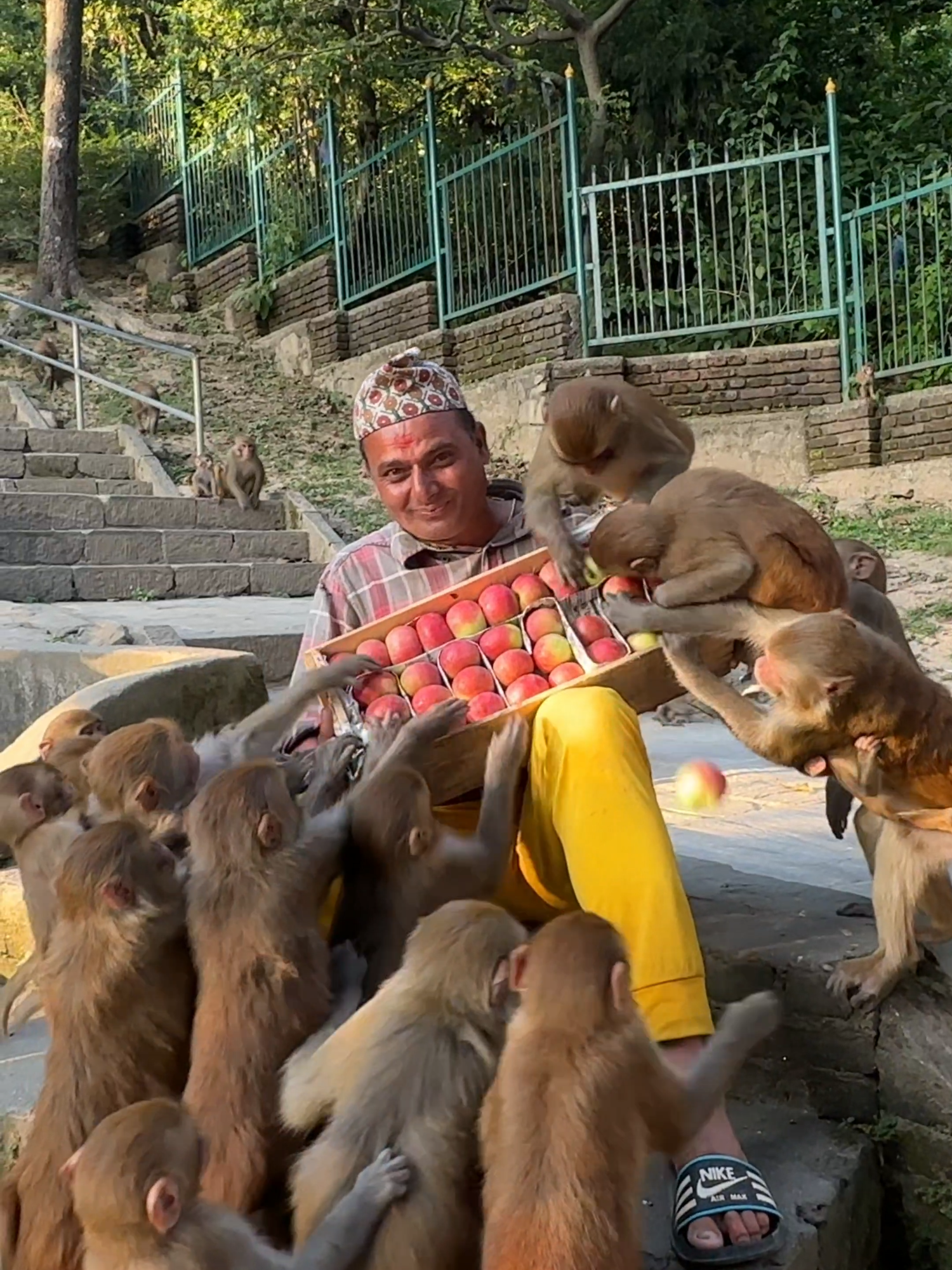 We called Chocolate apple 🍎