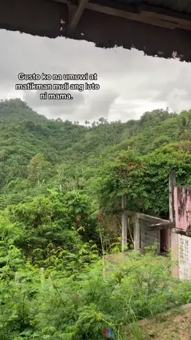 Tagal ko ng hindi nakakatikim ng tunay na pagkain. Uwing uwi na ako .