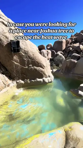 A hidden oasis in the middle of the desert. Perfect for cooling off on a hot day 🔥. #californiaadventure #californiahiddengems #joshuatree #pioneertown 