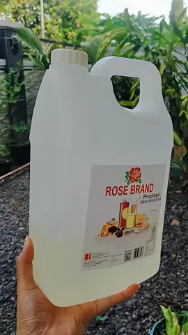 #trending #fypシ゚viral #fypシ #gulacairrosebrand #trending 