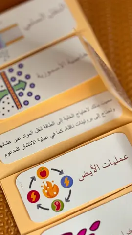 #CapCut مطوية علوم الصف الثالث متوسط أنشطة وعمليات في الخلية  #مطويات #مطوية_علوم #مطويات_الصف_ثالث_متوسط #مطويات_المدينة 