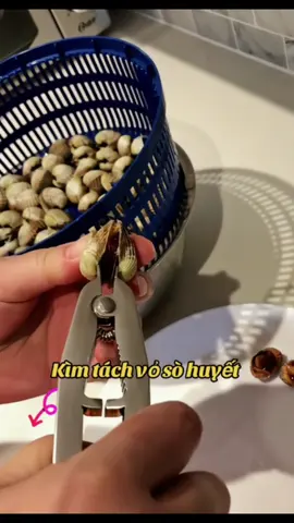 Dụng cụ tách sò huyết. Kìm tách sò huyết #tekto #dungcu #sohuyet #tachsohuyet 