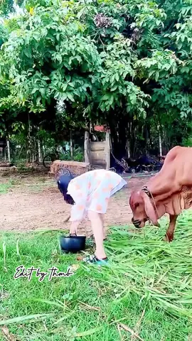 Lui cái đích ra ... 😂#hai #cuoivuimoingay #cuoi #hair #cuoibebung #hairstyle #cuoimoingay #haihuoctiktok #cuoituanvuive #haihuoc #vuinhon #ha #xuhuongtiktok #haihuocvuinhon #cuoivobung #haivuinhon 