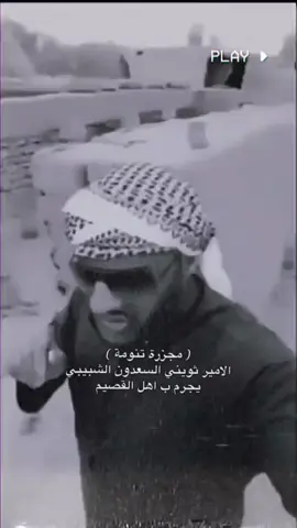 #art #viral #الامير_ثويني_السعدون #السعدون_الاشراف #بني_سعيد #بني_مالك #pov #شعب_الصيني_ماله_حل😂 