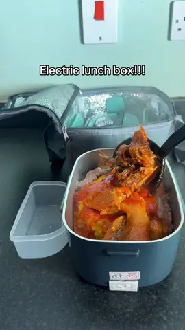 Hot food on the go even on road trips,vacations ,work etc!!! #electriclunchbox #foodtiktok #onthego #tiktokshopmademebuyit #foryou #lunchbox #tiktokshop #fyp 