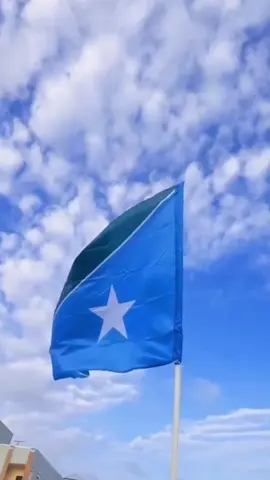 #12 October Congratulations 🇸🇧🤎#xawaadle_mohamett_🇸🇧_🐅_🔫 #hiiraanstate🇸🇧🔥 #neh4🍀🇸🇧 #🇸🇧🔥🇺🇸 #xaruun_cali🇸🇧🦁👑 #calimadaxweyne👑🇸🇧⚔ #v #viral_video 