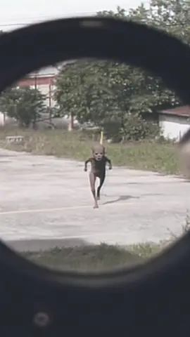 Footage from jul. 2024 in germany of the running alien creature 👀. . #11vibes #creature #skinwalker  #alien #shocking #cctv #ai #footage #unknown 