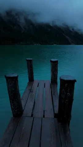 🩶🩶🩶#nature #calm #darkaesthetic #naturephotography #foryou #aesthetic #relax 
