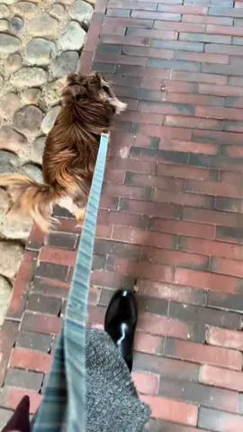 #duet med @Pollypocketsy #perfume  17% DISCOUNT 🎉‼️ Use Code: Polly #fragrance #winterfragrance #fallfragrance 