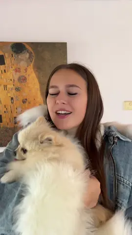 L’amour de ma vie 🤍 #spitznain #pourtoii #foryour #spitz #pomeranian #pomeranianpuppy 