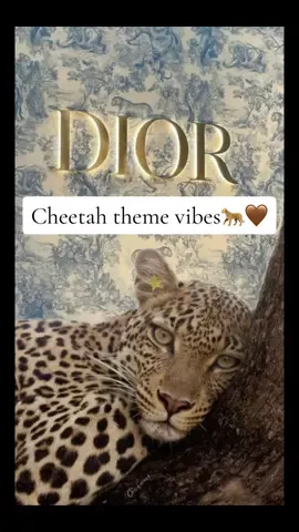 #glamour #cheetah #brunette #walpapper #walpapper #walpapper #sfondi #beauty #sfondi #glamour #aesthetic #beauty #tiktokmaroc #animalsoftiktok #tiktokitalia #aesthetic #inspofashion #for #foryo #perte #CapCut 