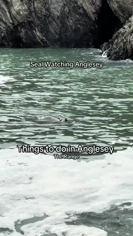 Things to do in Anglesey! This is one of my favorite walks. Todays route was roughly 3.5 miles. #anglesey #thingstodoinanglesey #thingstodoonanglesey #northwales #northwalescoast #coastalpath #angleseycoastalpath #northwalescoastalpath #holyhead #southstack 