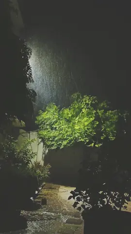 #foryoupage #tiktokviral #duet #blowthisup 