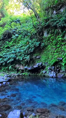 Peacful Relaxation Oasis #oasis #azores #nature #natureza #naturelover #naturelovers #naturephotography #aesthetics #travel #traveltiktok #traveltok #travelling #travellover #travellifestyle #relaxing #relaxingvideos #relaxation