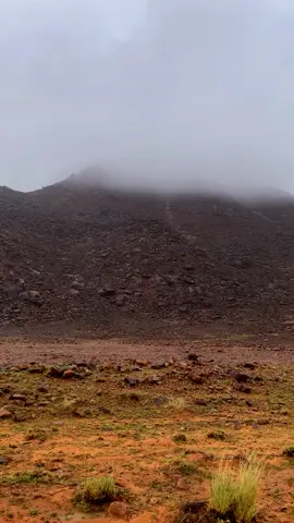 الحصان🥹📸✔️.            #الطويلل🌨️⚡️ #الوسم #الشتاء🎻🎼 #اكسبلورexplore #الشتاء #تصويري_احترافي_الاجواء👌🏻🕊😴 