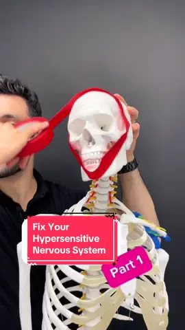 PART 1: Hypersensitive Nervous System SERIES Do you experience pain way too easily? Been having symptoms for 3, 6, 12 months or longer?  Does it seem like the symptoms are spreading out to larger areas? Outside of any physical injury, you may have a hypersensitive nervous system, and there are two types: 🧠Central Sensitivity VS 💪🏼Peripheral Sensitivity…. Let’s break each down (BTW part 2 & 3 will go over simple solutions) 🧠CENTRAL SENSITIVITY MECHANISMS: Neuroplasticity: Changes in synaptic strength and reorganization of neural networks. Wind-Up & Altered Pain Processing: Enhanced response to pain signals and reduced inhibition of these signals. Glial Activation: Glial cells in the CNS become activated and release pro-inflammatory cytokines, contributing to pain signaling. ——————— 🧠CENTRAL SENSITIVITY SYMPTOMS Hyperalgesia: Increased sensitivity to painful stimuli. Allodynia: Pain in response to normally non-painful stimuli. Spread of pain: Pain may spread to areas not directly related to the original site of injury or inflammation. ——————— 💪🏼PERIPHERAL SENSITIVITY MECHANISMS Inflammatory mediators: Increased release of substances such as prostaglandins, bradykinin, and cytokines. Ion channel changes: Increased expression of ion channels in nociceptors, leading to greater excitability. Neuropeptide release: Substance P and CGRP (calcitonin gene-related peptide) released from nociceptors can amplify pain signals and promote inflammation. ——————— 💪🏼PERIPHERAL SENSITIVITY SYMPTOMS Hyperalgesia: Increased sensitivity to painful stimuli, localized to the site of injury or inflammation. Enhanced nociceptor activity: Nociceptors (pain receptors) fire more readily and at a higher frequency in response to stimuli. Local inflammation: Swelling, redness, and heat at the site of injury due to inflammatory processes. ——————— Comment below which one you can relate to and how it impacts you day today.  Videos, two and three in the series will go over solutions for each, so be sure to check them out! #chronicpain #chronicfatigue #tmj #headaches #migraine #neckpain #chronicpainwarrior 