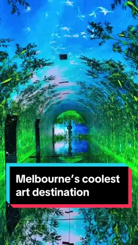 📍 Metartworld - Art Space in Port Melbourne. Explore Australia’s largest metal art gallery, a starry sky expo and a full VR park. Kids $30, adults $40, under 2 free. Save 10% with your Small Ideas membership! #metartworld #metart #melbourne #todomelbourne #exploremelbourne #melbournewithkids #explorevictoria #springinmelbourne #australianwildlife #mumsinmelbourne #melbournemums #daytripmelbourne #melbournehotspots 