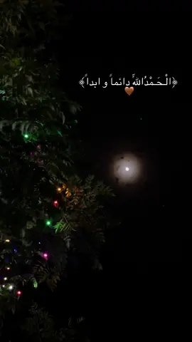 #الحمدلله_دائماً_وابداً 🤎🤲🏼
