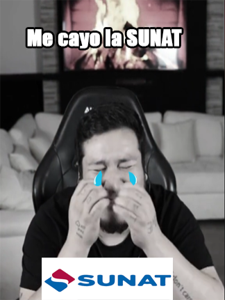 Teka cuenta que le cayo la Sunat y toca declarar 4 años XD, Dibujos lo reportaron  #kingteka #kingtekadota2 #ñajasor #sunat #viral #karma #g5 #kick #fypp #videoviral