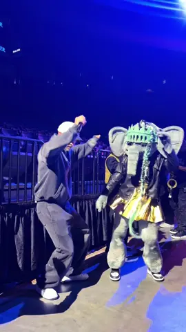 @Ellie the Elephant came by for soundcheck 👑