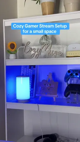 Inexpensive Cozy Streamer setup for a small space #cozygamergirl #cozygaming #cozydesksetup #howtostreamontwitch #newstreamertips #cozystreamer 