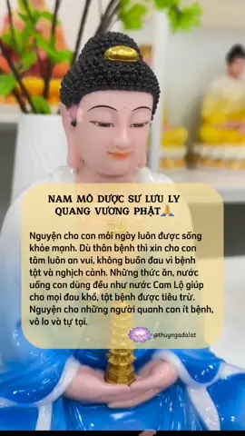 Nam Mô Dược Sư Lưu Ly Quang Vương Phật 🙏 #thuyngadalat #tutaptinhtan🙏🏻 #chanhniem #phatphap 
