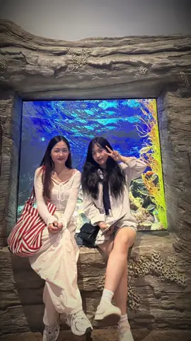 Chúc mừng sn bạn iu @Linz #CapCut #happybirthday 