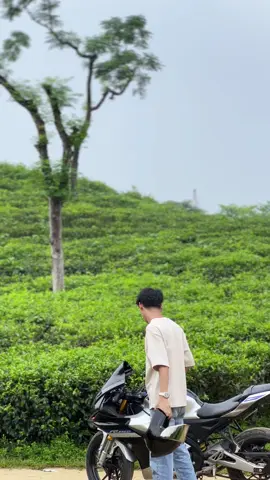 Jhol song  #whotuhin #sylheti_fua #hindi #song #tea #tree #bike #tuhin 