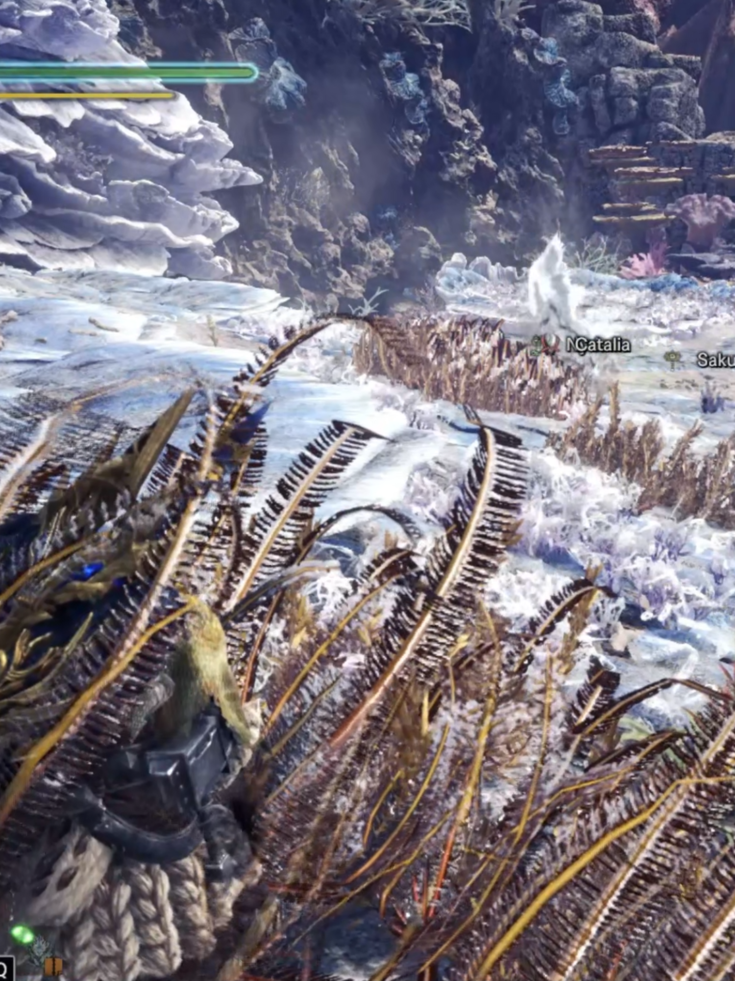 mhw wide-range #mhw #monsterhunterworld