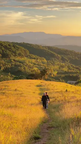 “Chỉ cần em còn tồn tại, chắc chắn em sẽ được yêu thương.” #fypシ #travel #viral #dalat #dalatreview #dalatcoffee 