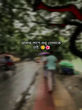আমার পাশে শুধু তোমাকে  চাই:)☺️🌺#foryou #foryoupage #trending #fyp 