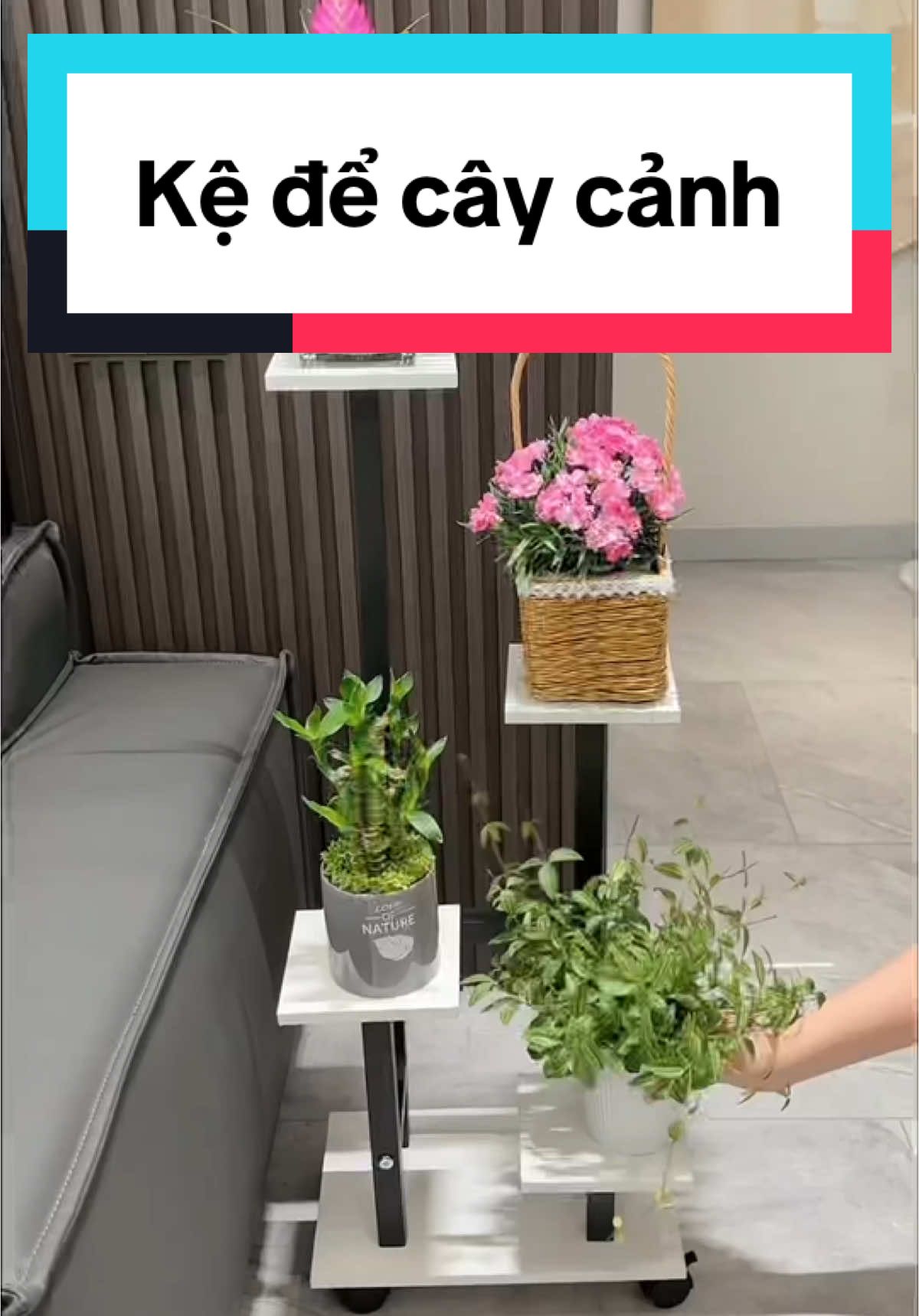 Kệ khung sắt nhiều tầng để chậu hoa cây cảnh #xuhuong #kedecaycanh #kedechauhoa #trending #thinhhanh #giadungtienich 