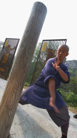 #shaolinkungfu #shaolin #kungfu #wushu #artesmarciales #taolu #kungfuchinese #parati #wushuwarriors #wushuchinese #training 
