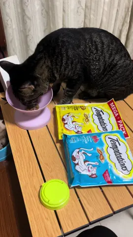 ขนมแมวสอดไส้ครีม Temptations 75กรัม 70฿