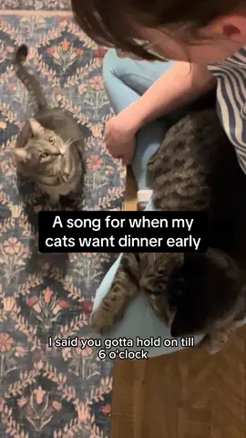 I got my background singer inspired which means this one is good 🤘 • Parody of Livin’ On A Prayer by Bon Jovi • #catmom #catlife #catmomlife #cutecat #funnycat #catmama #cutecats #bonjovi #livinonaprayer